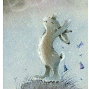 Meet your Posher, Darlene